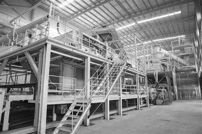 构建双碳发展格局 打造 基础建材 家具成品 模式